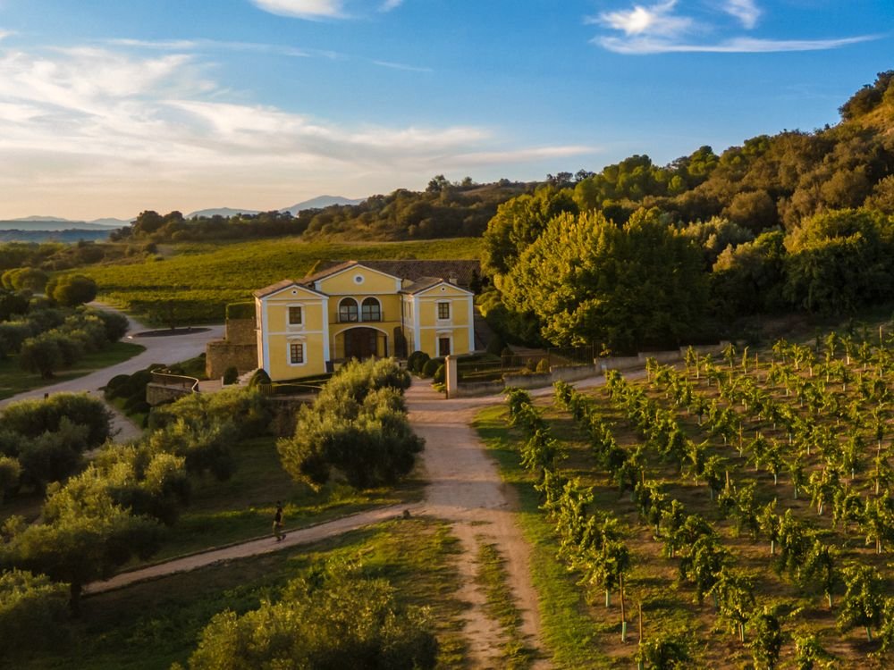 Una bodega rodeada de viñedos vista desde el aire