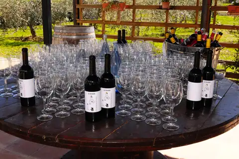 Cartel y fotos de «Bus del Vino Somontano «Sabor a Somontano»», foto 7 de 7