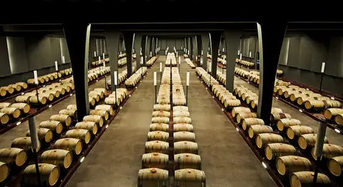 La sala de barricas de Bodega Sommos