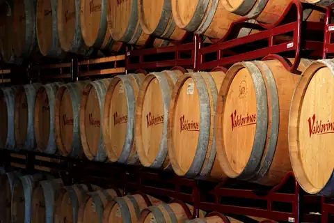 «Vino y queso en Bodegas Valdovinos», foto 1 de 1