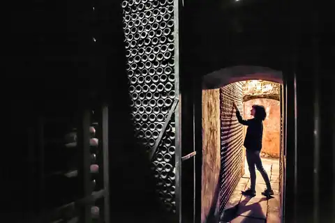 Bodega Pirineos, en Barbastro, foto 3 de 5