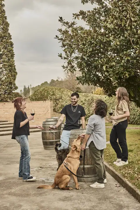 Bodega Pirineos, en Barbastro, foto 5 de 5