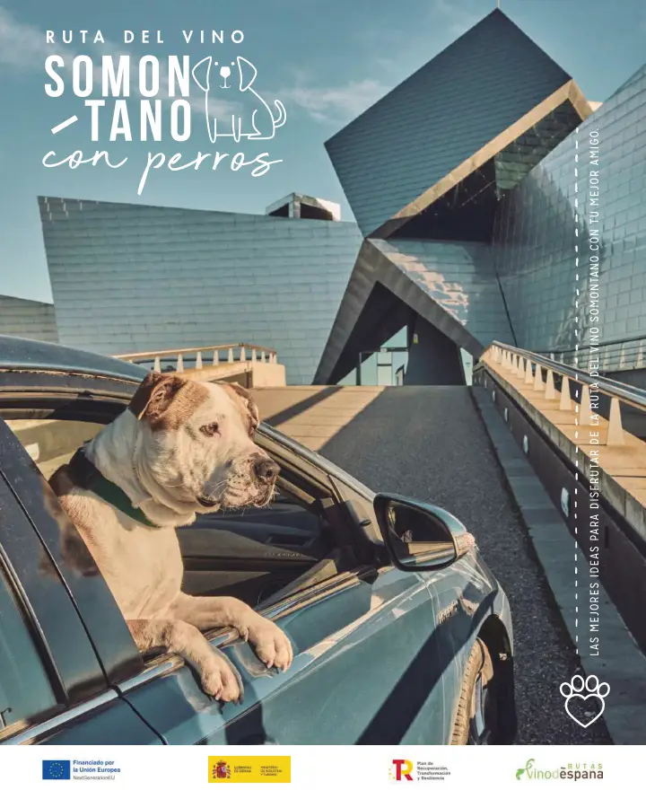 Portada de «Enoturismo con perros»