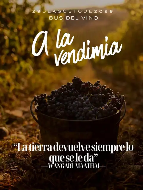 Foto de la noticia «El verano es para recargar pilas… ¡y el Bus del Vino…»